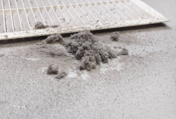 Best Air Vent Cleaning Services  in Arcola, TX